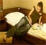 blueline_regina_della_pace_cabins_tb