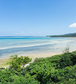 Iriomote Insel